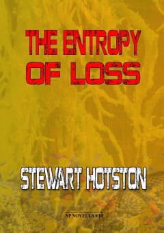 The Entropy of Loss cover