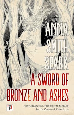A Sword of Bronze and Ashes cover